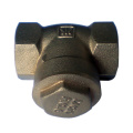 Brass Swing Check Valve (DSCN2376)